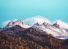 开云官网-F1意大利大奖赛冠军诞生